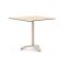 Bellagio Lisio tuintafel 80x80x73cm