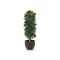 Designplants/Luca Lifestyle Laurier kolom kunstplant (h:125cm) met Terreno New Egg bloempot - Groen (UV bestendig) (bloempot = Ash Brown)