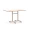 Bellagio Lisio tuintafel 140x80x73cm
