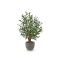 Designplants/Luca Lifestyle olijf Bonsai kunstplant (h:90cm) met Grigio New Egg bloempot - Groen (UV bestendig) (bloempot = Natural Concrete)