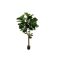 Designplants Lyrata Y kunstboom (h:170cm)