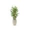 Designplants/Luca Lifestyle Japanse Bamboe kunstplant (h:90cm) met Grigio Tall Balloon bloempot - Groen (UV bestendig) (bloempot = Antique White)