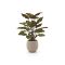 Designplants/Luca Lifestyle Red Calathea Makoyana kunstplant (h:60cm) met Bordo Balloon bloempot - Groen (bloempot = Sand)