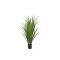 Designplants Rietgras kunstplant (h:100cm)