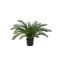 Designplants Cycas palm kunstplant (h:60cm)