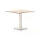 Forza Orta tuintafel 80x80x73cm