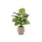Designplants/Luca Lifestyle Calathea Fasciata kunstplant (h:70cm) met Bordo Balloon bloempot - Groen (bloempot = Sand)