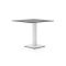 Forza Orta tuintafel 80x80x73cm