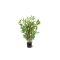 Designplants Japanse Bamboe kunstplant (h:60cm)