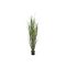 Designplants Rietgras kunstplant (h:165cm)