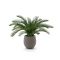 Designplants/Luca Lifestyle Cycas palm kunstplant (h:60cm) met Bordo Balloon bloempot - Groen (UV Bestendig) (bloempot = Clay)