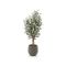 Designplants/Luca Lifestyle Olijf kunstboom (h:150cm) met Bordo Balloon bloempot - Groen (UV bestendig) (bloempot = Clay)