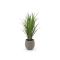 Designplants/Luca Lifestyle Rietgras kunstplant (h:100cm) met Bordo Balloon bloempot - Groen (UV bestendig) (bloempot = Clay)