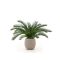 Designplants/Luca Lifestyle Cycas palm kunstplant (h:60cm) met Terreno Tall Balloon bloempot - Groen (UV Bestendig) (bloempot = Sand)