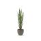 Designplants/Luca Lifestyle Rietgras kunstplant (h:165cm) met Grigio New Egg bloempot - Groen (UV bestendig) (bloempot = Natural Concrete)
