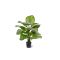 Designplants Calathea Fasciata kunstplant (h:70cm) - Groen t.b.v. potmaat S
