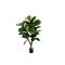 Designplants Lyrata Y kunstboom (h:130cm)