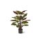 Designplants Red Calathea Makoyana kunstplant (h:60cm) - Groen t.b.v. potmaat S