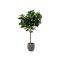 Designplants/Luca Lifestyle Lyrata Y kunstboom (h:220cm) met Grigio Balloon bloempot - Groen (bloempot = Natural Concrete)
