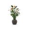 Designplants/Luca Lifestyle Strelitzia kunstplant (h:145cm) met Ruvido Combi bloempot - Oranje (bloempot = Ash Brown)