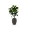Designplants/Luca Lifestyle Lyrata Y kunstboom (h:130cm) met Terreno Tall Balloon bloempot - Groen (bloempot = Ash Brown)