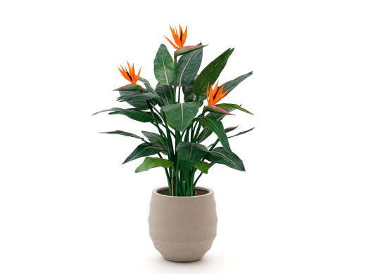 Designplants/Luca Lifestyle Strelitzia kunstplant (h:115cm) met Bordo Balloon bloempot