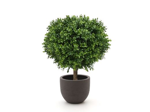 Designplants/Luca Lifestyle Buxus bol kunstplant (h:50cm) met Terreno New Egg bloempot
