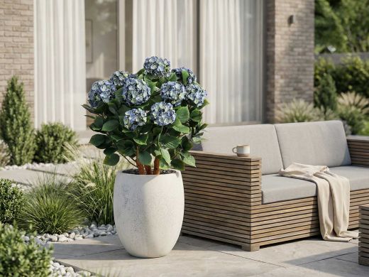 Designplants/Luca Lifestyle Hortensia kunstplant (h:80cm) met Grigio Balloon bloempot - Blauw (UV bestendig) (bloempot = Antique White)
