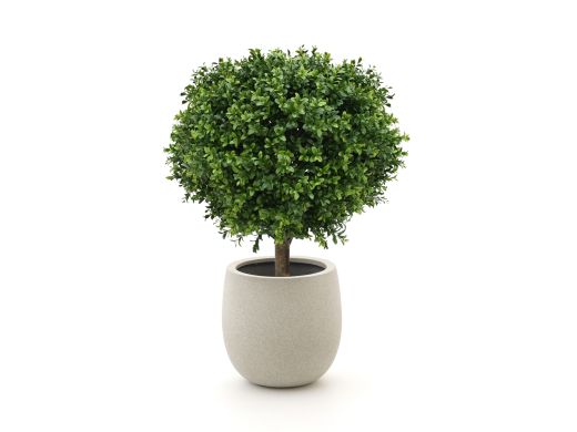 Designplants/Luca Lifestyle Buxus bol kunstplant (h:50cm) met Grigio Balloon bloempot