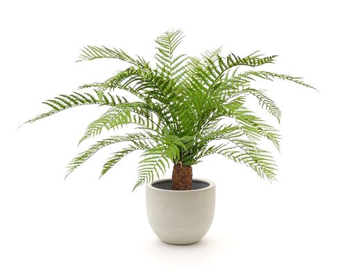 Designplants/Luca Lifestyle Alsophillia varen kunstplant (h:80cm) met Grigio New Egg bloempot