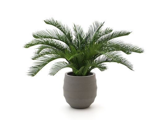 Designplants/Luca Lifestyle Cycas palm kunstplant (h:60cm) met Bordo Balloon bloempot