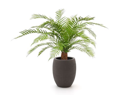Designplants/Luca Lifestyle Alsophillia varen kunstplant (h:80cm) met Terreno Tall Balloon bloempot