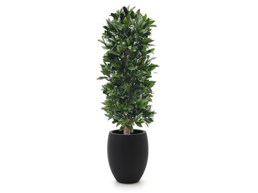 Designplants/Luca Lifestyle Laurier kolom kunstplant (h:125cm) met Grigio Tall Balloon bloempot