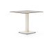 Forza Orta tuintafel 70x70x73cm