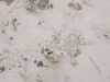 Bellagio Sarsina lounge tuintafelset ø85cm(h:27cm)/ø65cm (h:21cm) - Sintered stone