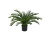 Designplants/Luca Lifestyle Cycas palm kunstplant (h:60cm) met Terreno Tall Balloon bloempot - Groen (UV Bestendig) (bloempot = Sand)