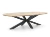 Intenso Asti/Rough-Y Ellips 280cm dining tuinset 9-delig