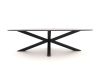 Bellagio Cupello/Induno Ellips 280cm dining tuinset 9-delig