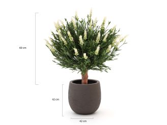 Designplants/Luca Lifestyle Lavendel bol kunstplant (h:60cm) met Terreno Balloon bloempot - Wit (UV bestendig) (bloempot = Ash Brown)