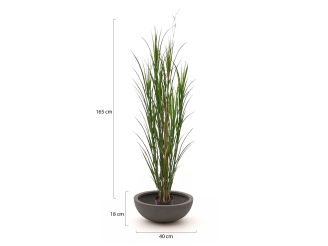 Designplants/Luca Lifestyle Rietgras kunstplant (h:165cm) met Terreno Bowl bloempot - Groen (UV Bestendig) (bloempot = Ash Brown)