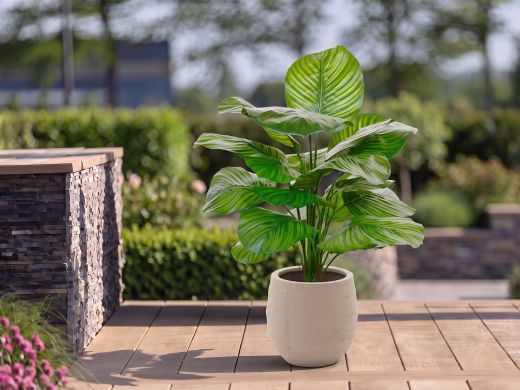 Designplants/Luca Lifestyle Calathea Fasciata kunstplant (h:70cm) met Bordo Balloon bloempot - Groen (bloempot = Sand)