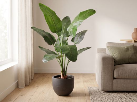 Designplants Strelitzia Nicolai kunstplant (h:145cm) - Groen t.b.v. potmaat M