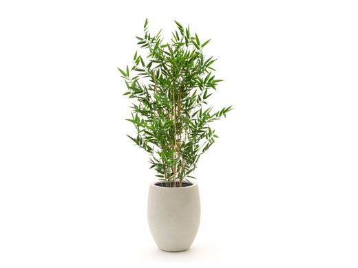 Designplants/Luca Lifestyle Japanse Bamboe kunstplant (h:90cm) met Grigio Tall Balloon bloempot - Groen (UV bestendig) (bloempot = Antique White)