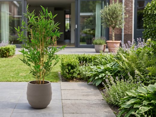Designplants/Luca Lifestyle Japanse Bamboe kunstplant (h:90cm) met Bordo Balloon bloempot - Groen (UV bestendig) (bloempot = Clay)