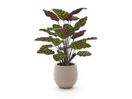 Designplants/Luca Lifestyle Red Calathea Makoyana kunstplant (h:60cm) met Bordo Balloon bloempot - Groen (bloempot = Sand)