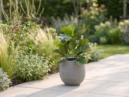 Designplants Lyrata kunstplant (h:45cm) - Groen t.b.v. potmaat S