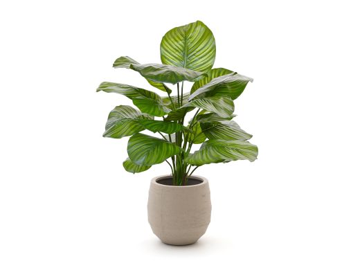 Designplants/Luca Lifestyle Calathea Fasciata kunstplant (h:70cm) met Bordo Balloon bloempot - Groen (bloempot = Sand)