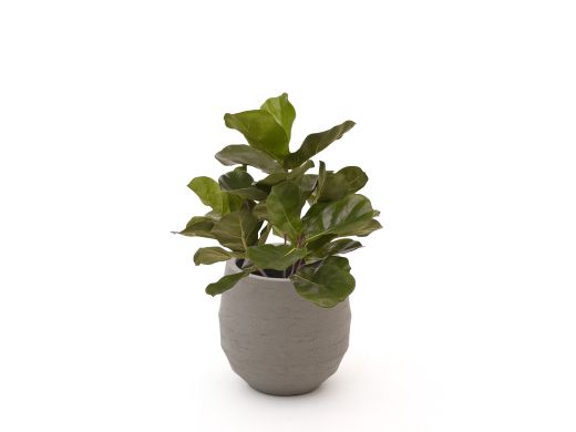 Designplants/Luca Lifestyle Lyrata kunstplant (h:45cm) met Bordo Balloon bloempot - Groen (bloempot = Clay)