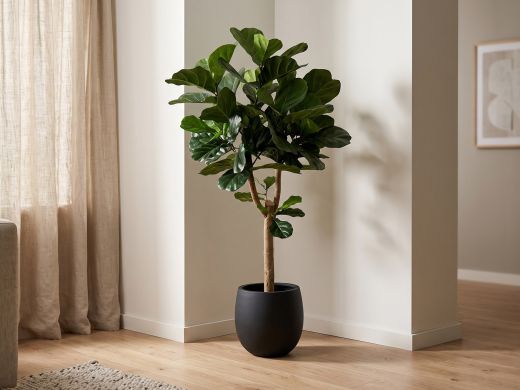 Designplants/Luca Lifestyle Lyrata Y kunstboom (h:170cm) met Grigio Balloon bloempot - Groen (bloempot = Anthracite)