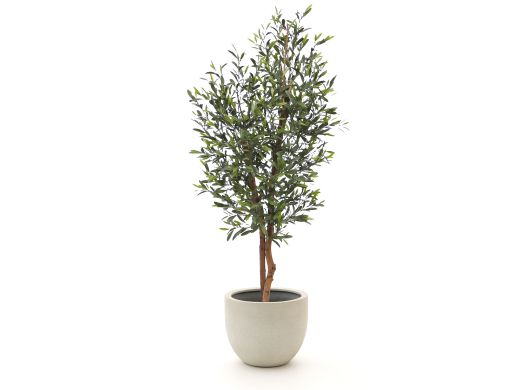 Designplants/Luca Lifestyle Olijf kunstboom (h:150cm) met Grigio New Egg bloempot - Groen (UV bestendig) (bloempot = Antique White)